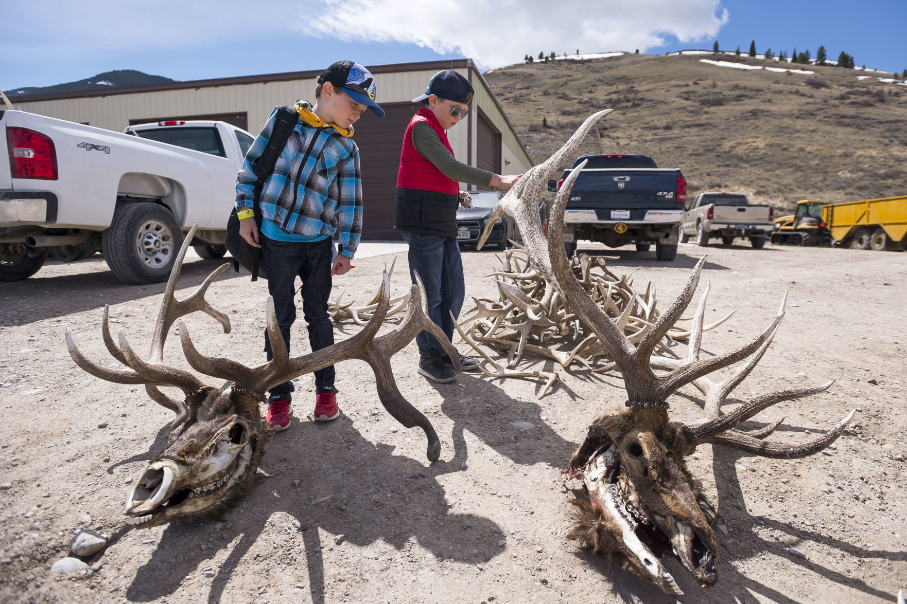 Boy Scout antler pickup